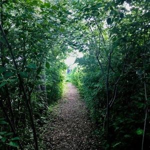 Meet your Posher, Mary ann